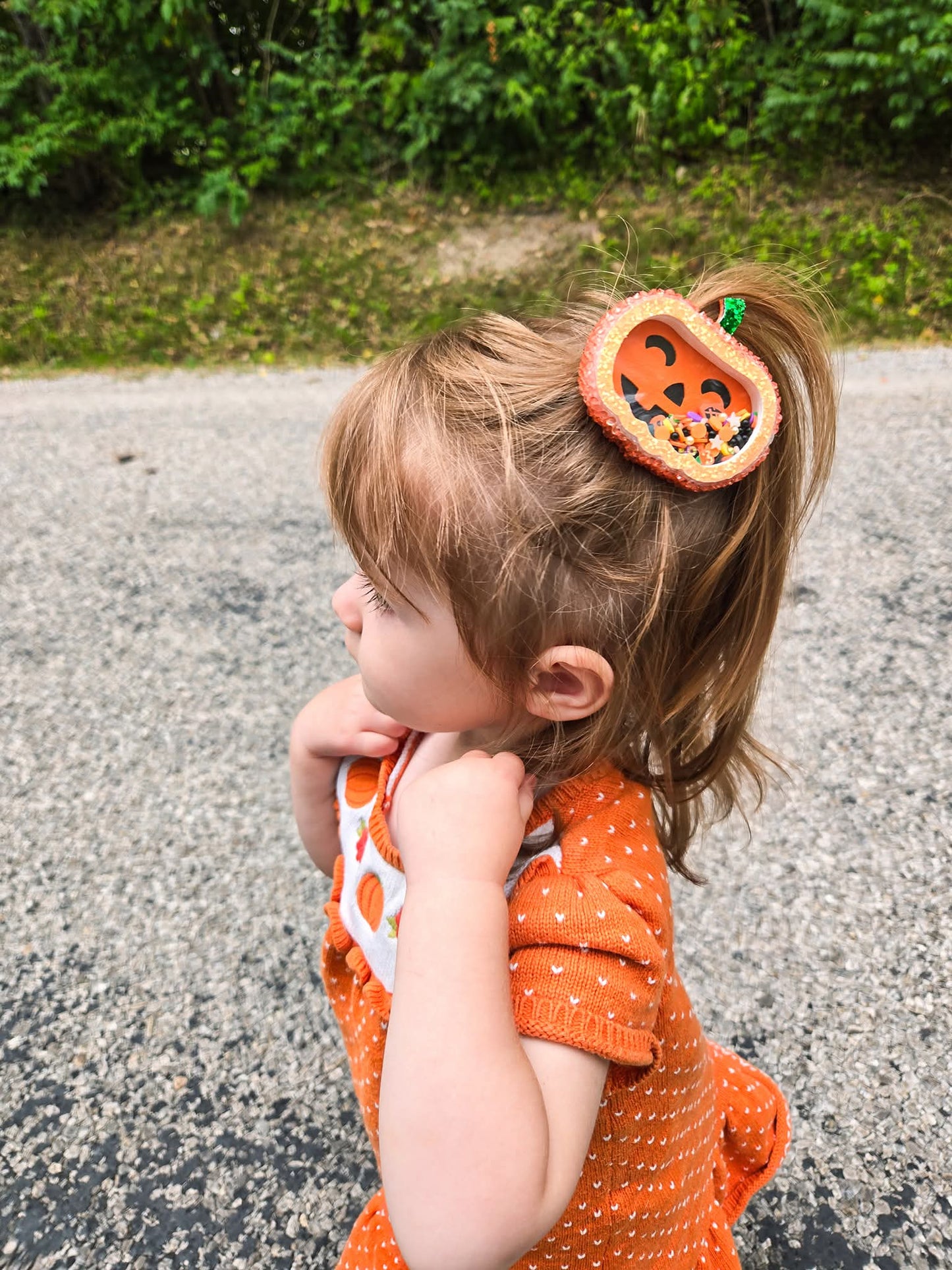 Jack-o-lantern Shaker