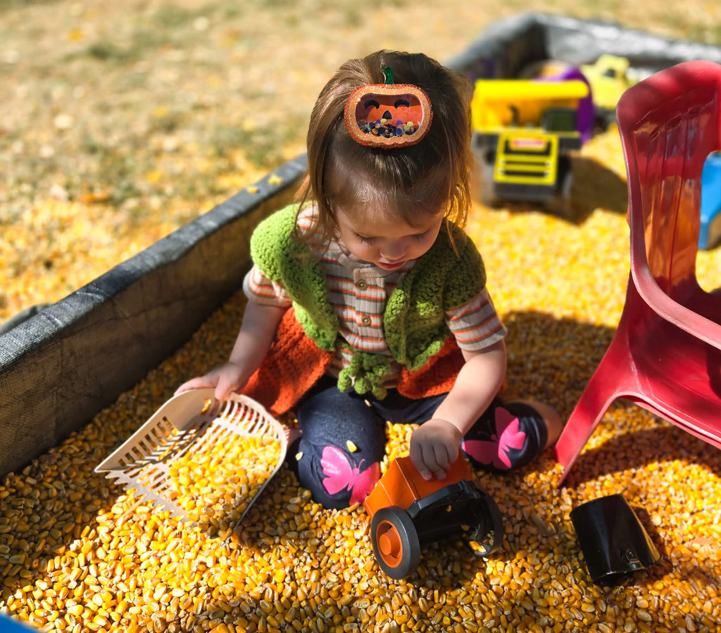 Jack-o-lantern Shaker